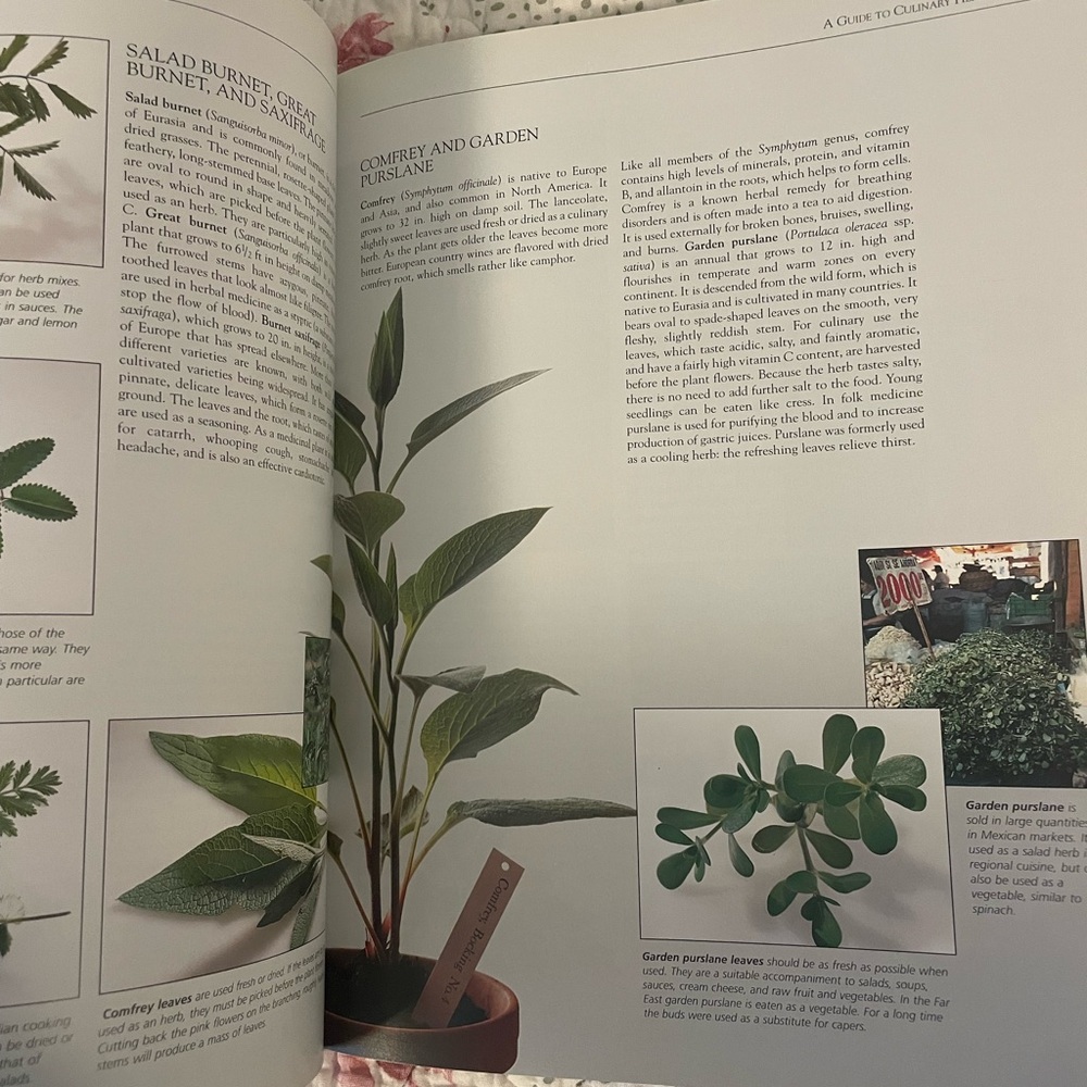 The Herbs and Spices Cookbook - Picture 7 of 8